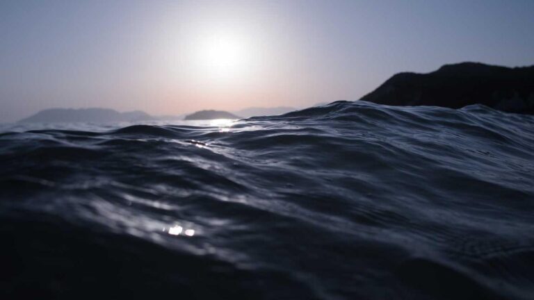 What Is Cricbet99 Index App And How Does It Work?